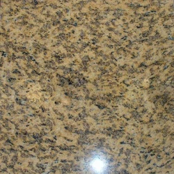 Chrysanthemum Yellow Granite